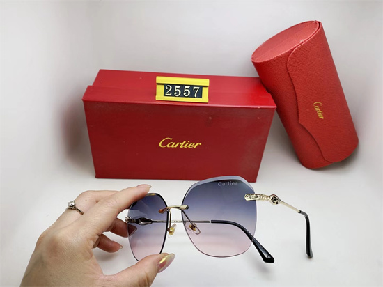 Cartier Sunglass A 024